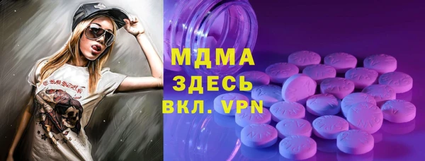 хмурый Гусь-Хрустальный