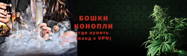 хмурый Гусь-Хрустальный