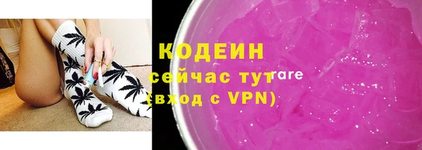 хмурый Гусь-Хрустальный