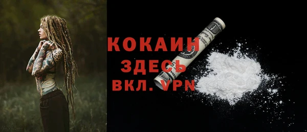 хмурый Гусь-Хрустальный