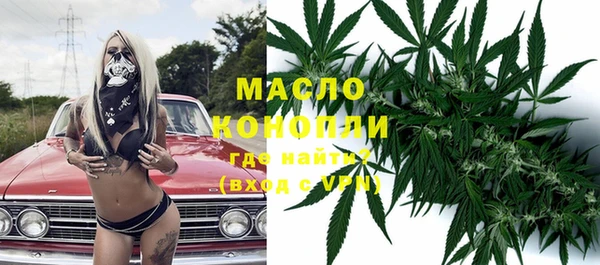 хмурый Гусь-Хрустальный