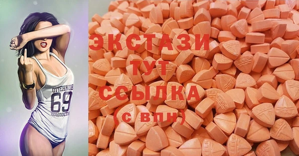 хмурый Гусь-Хрустальный