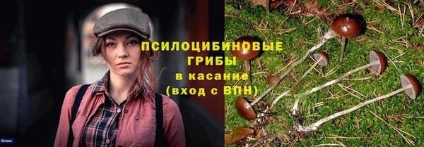 синтетический гашиш Гусиноозёрск