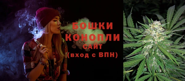 хмурый Гусь-Хрустальный