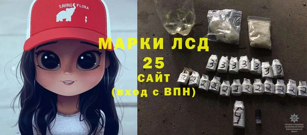 хмурый Гусь-Хрустальный