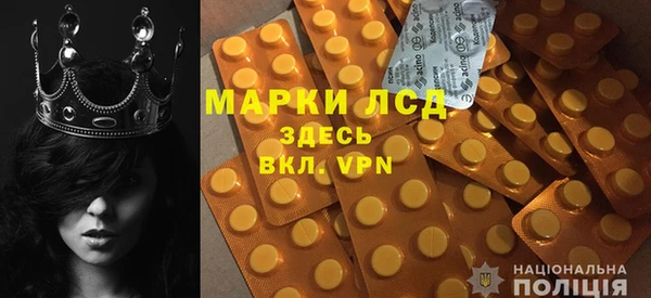 хмурый Гусь-Хрустальный