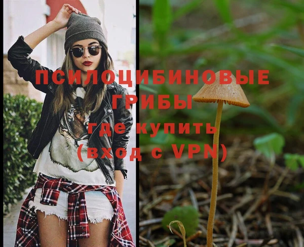 хмурый Гусь-Хрустальный